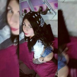 Sarassex Public Kuva 2