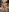 _charlotte11 my naked body😈 Pic 4