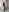 dolly_ll While I was preparing for the photo shoot... Photo 5