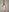 Lusy_PickMe My full naked photos (censorship) Pic 3