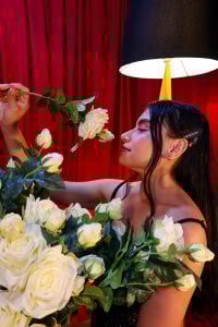 Hada_Ailany Sweetheart Secrets Billede 3