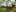_Soo_dreamy_Elf's Feet on a Mossy Tree图片 4