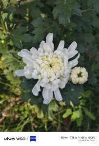 67sanju Public Fotka