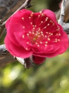 xxoLENAoxxのa parcoの 2枚の写真