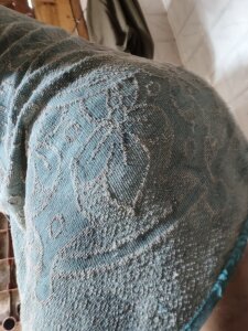 nuri___trans__sexy Doggy style Εικόνα