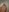 brookehoneynina 😚 Pic 8