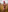 Georgis_ Naked rabbit in the field🐰🔥 Pic 7