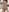melana_love 脱いだ女子学生 | Undressed schoolgirl Fotografie 5