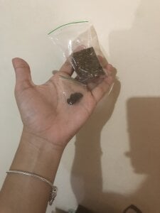 bellinii07 Dia especial 🤭🥵 Fotka 8