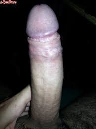 nik7588 Foto Bilde 2