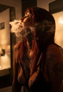 Dahliablack temptation for you slika