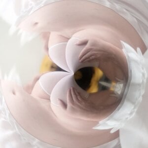 Bunny-without-panties mirrorlab Pic 2