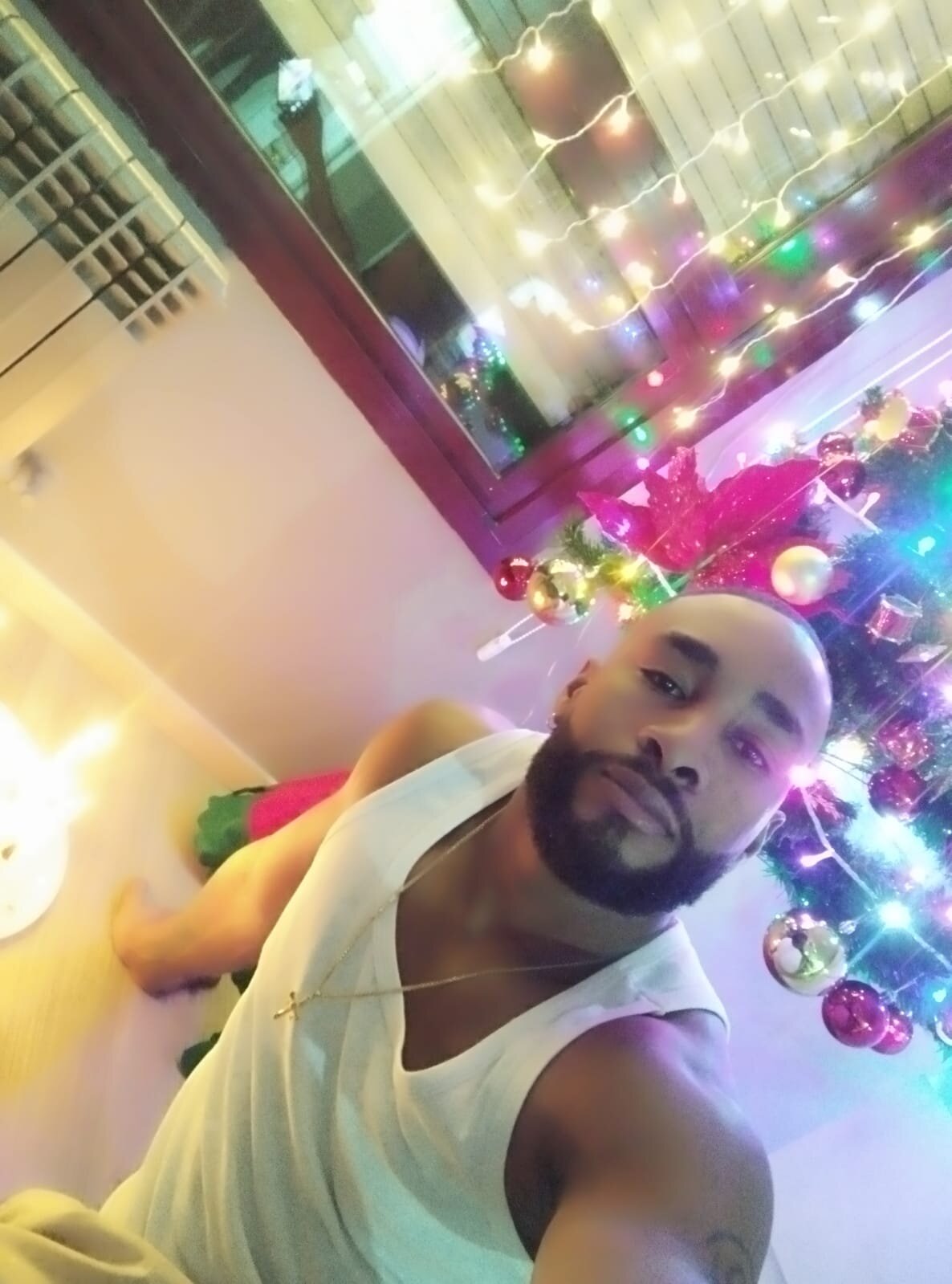 Трендове зображення  7041 Dante_Knox