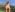 KaisyLay Naked sunbathing صورة واحدة|KaisyLay Naked sunbathing صورتان|KaisyLay Naked sunbathing  4 صور|KaisyLay Naked sunbathing  4 صورة