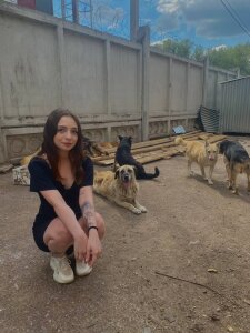 Happy_summer dog shelter 사진
