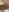 horny_baaby My push in public Foto  3