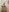 ARTHUR_MINI My Cock Photo 4