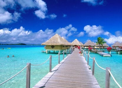 Odeliya_Gold my dream Pic 2