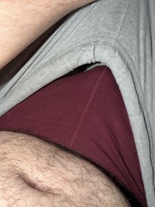 cobr-2024 Public Pic