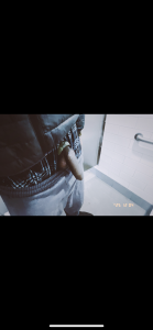 YODAPESOS Public Pic