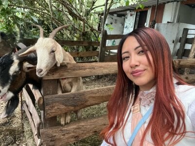 Saelivrae Travel companions Immagine 