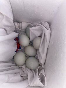 mariafuckme29 A Foto 3