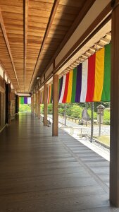 iruiru_jp Public Foto 5