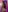 Susy_thomson Barbie Pic