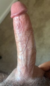 plaintreebull Public Pic