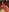 Var_Kiss Fuck your friend's wife? Photo 5