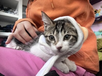 ailen_wood My love Rini 💘 Gambar 7