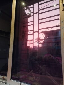 misha-singh's photos