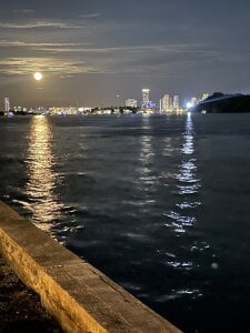 D de Samcan3  photos