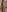 CataleyaRusso Sexy hotel foam Pic 2