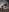 Anna_Mariia *NEW* Luna & Roni Bilde 9