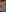 Teases de TurtleLady420 Fotos 7