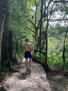 RollerSM420 Public Pic 3