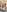 ALISSON_FOXXX1 Naked in your favorite positions 🥵🔥 Pic 3