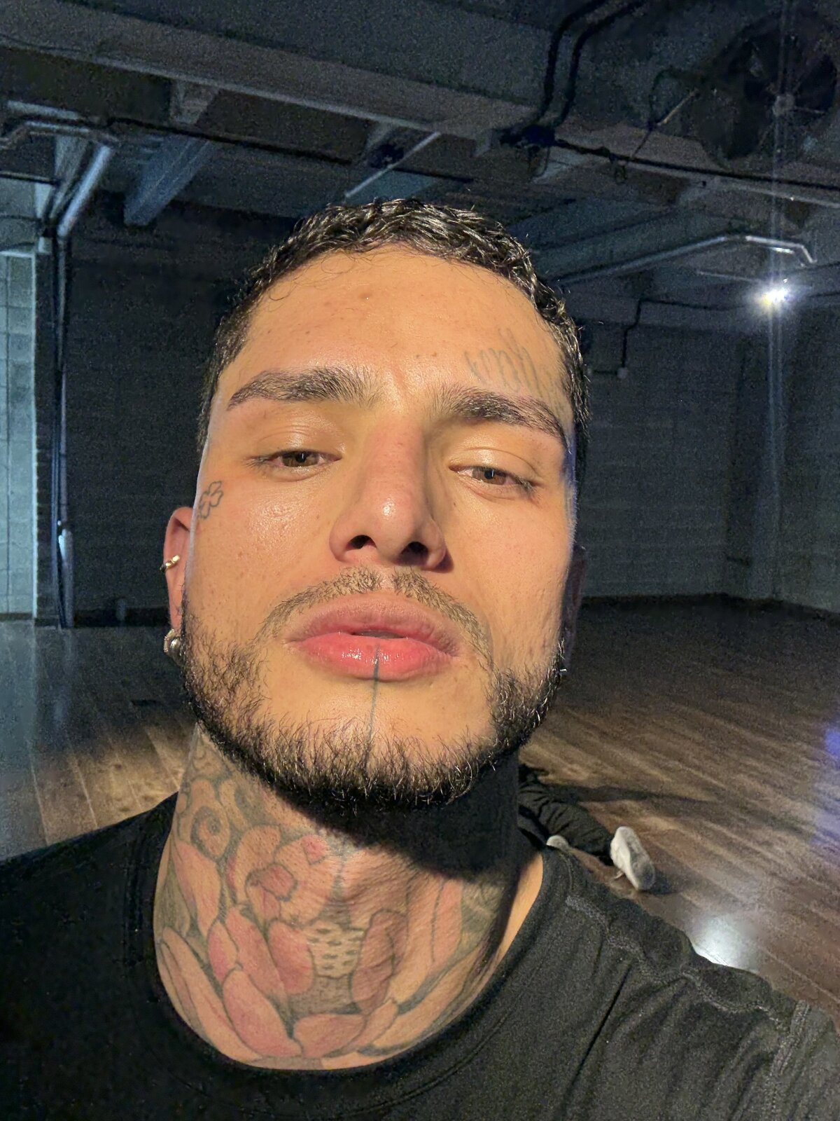 Alanrodgers Image populaire  7583