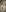 Lovebackground Home Asshole closed after fuck sperm my asshole Pic 3