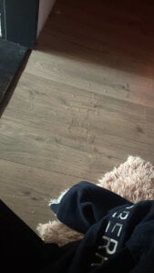 Playfullduo61 Public Εικόνα 5