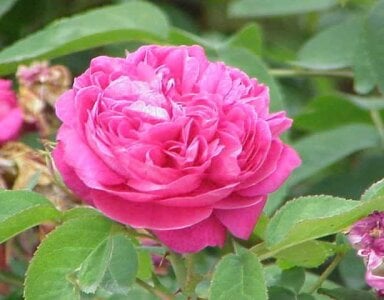 kieuqueen92 Kiều Hình