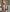savannah_sol nude Pic 3