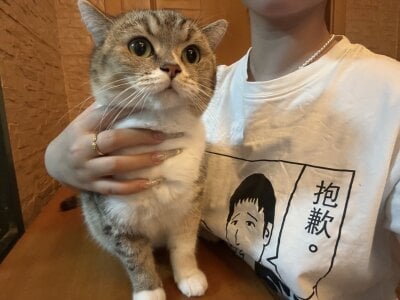 -sanhuamao- 家庭成员 사진 4