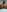 naughtyjaanu Butt Plug Collection Pic 5