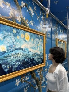 came-a-lot Public Εικόνα 8