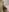 Ian_Castillo_ Hello baby, i am horny for you Pic