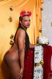 Kardy_Castle7 Merry Christmas 🎄🎀 사진 7