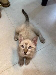 Mi🐈 de Barbiebrunette_ Foto 2