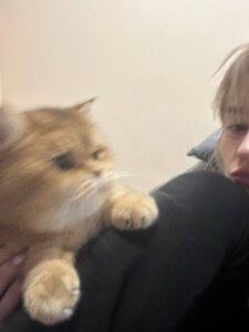 🤍 de MerlinMeyer  3 Imagens